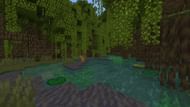 Players can find propagules growing from mangrove leaves in Mangrove Swamp (Image via Mojang)